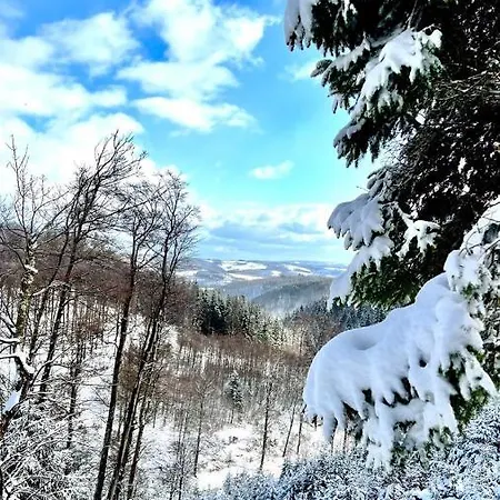 Apartment Stilvolle Penthouse Mit Großzügiger Sonnenterrasse Bad Berleburg