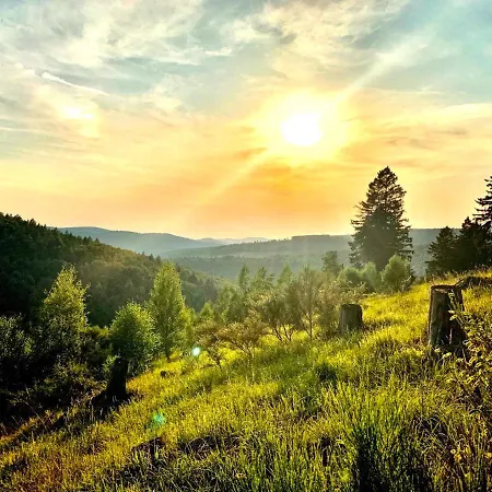 Apartment Stilvolle Penthouse Mit Großzügiger Sonnenterrasse Bad Berleburg