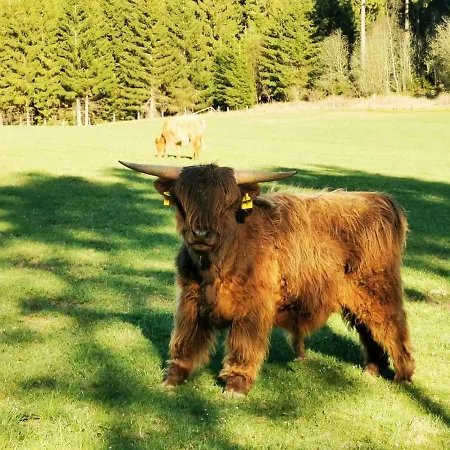 Stilvolle Penthouse Mit Großzügiger Sonnenterrasse *