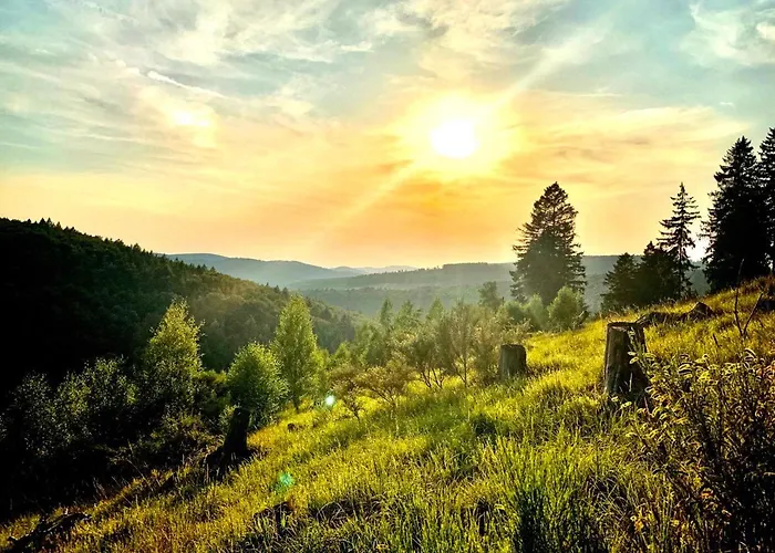 Lägenhet Stilvolle Penthouse Mit Grosszuegiger Sonnenterrasse Bad Berleburg