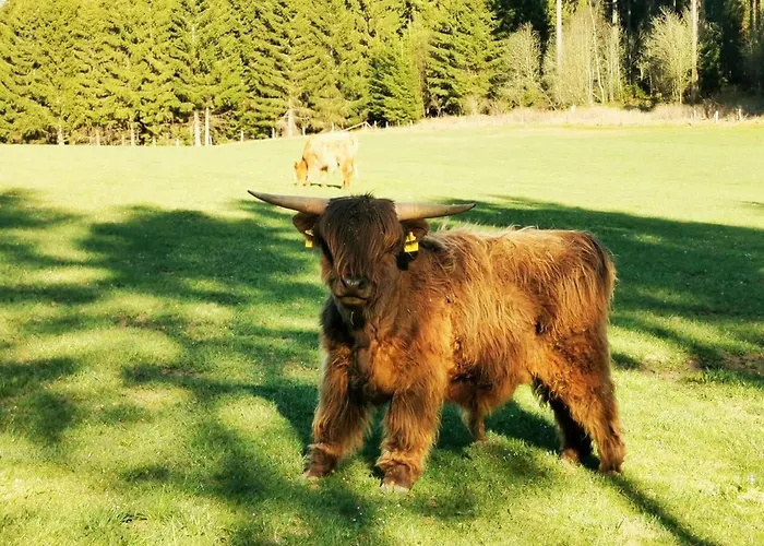 Stilvolle Penthouse Mit Grosszuegiger Sonnenterrasse *